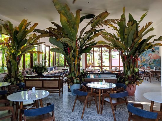 folie canggu